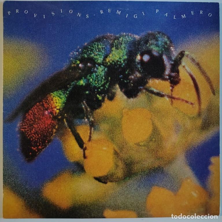 Discos de vinilo: Remigi Palmero. Provisions. Xiu Xiu, Spain 1984 LP