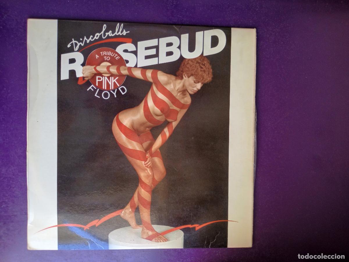 Disques de vinyle: Rosebud &lrm;&ndash; Discoballs (A Tribute To Pink Floyd) - LP HISPAVOX 1977 - MUY POCO USO - ELECTRONICA