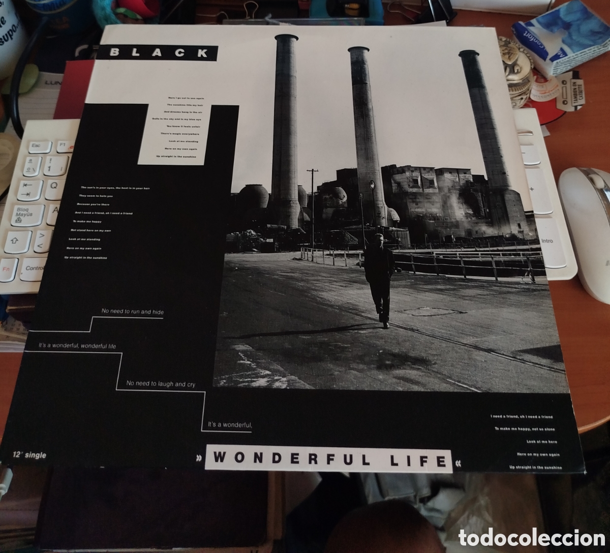 Discos de vinilo: Black - Wonderful Life