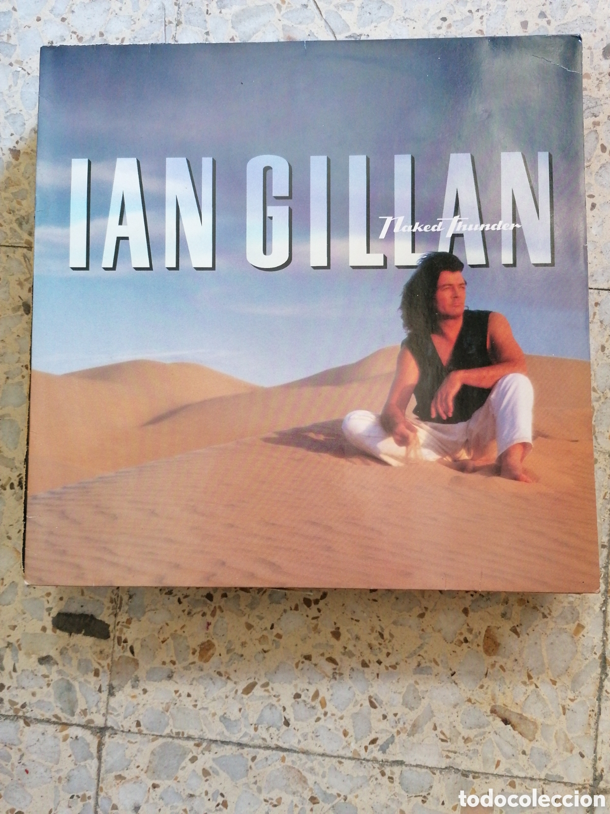 Discos de vinilo: LP IAN GILLAN NAKED THUNDER 1990 GERMANY