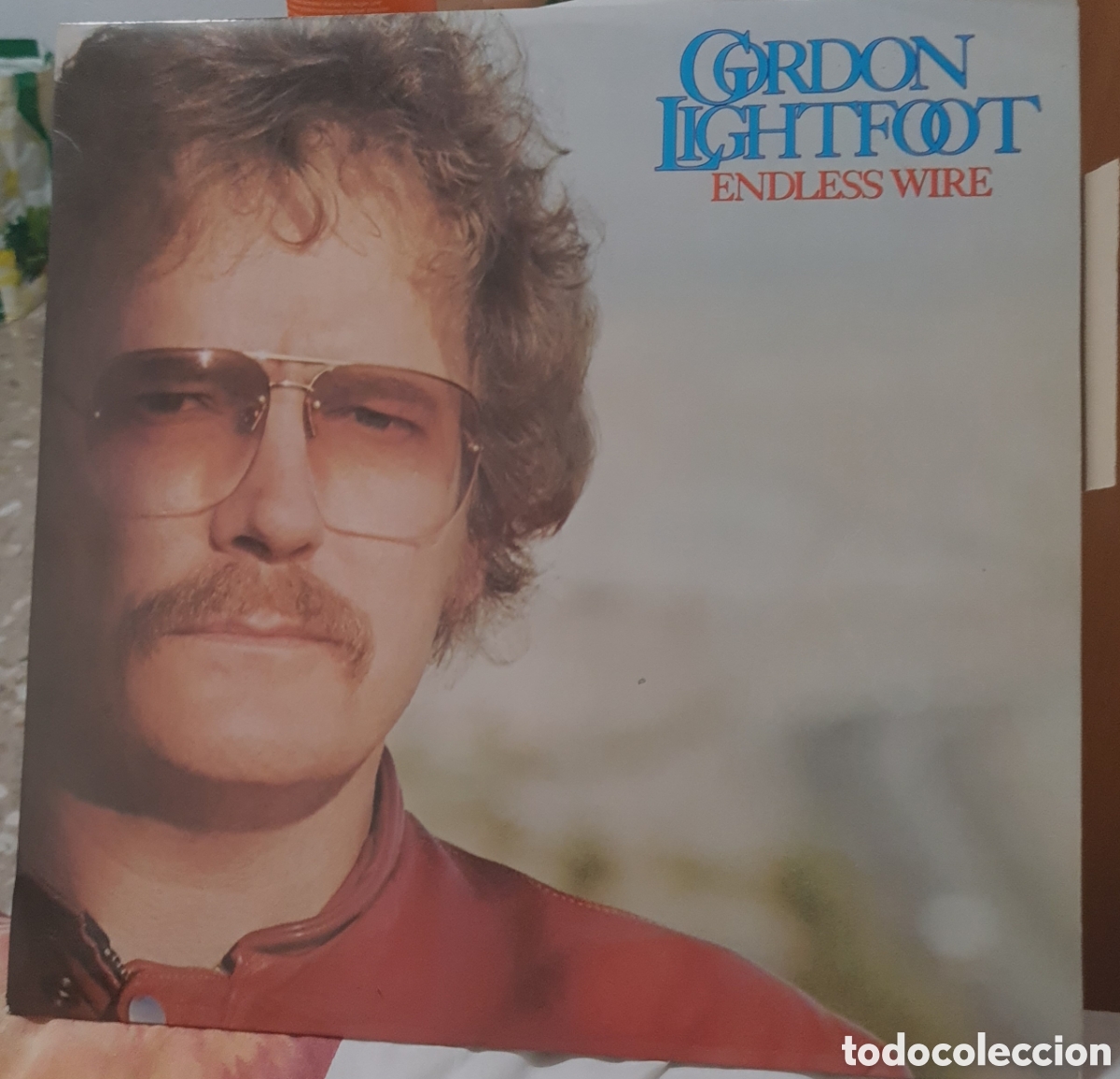 Discos de vinilo: GORDON LIGHFOOT * ENDLESS WIRE