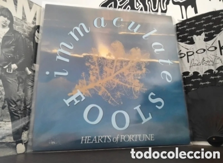 Discos de vinilo: Immaculate Fools - Hearts Of Fortune