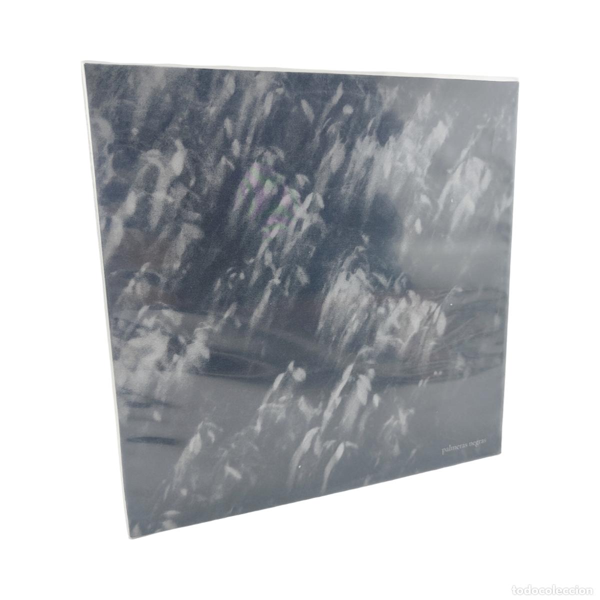 Discos de vinilo: PALMERAS NEGRAS - S/T - Palmeras Negras