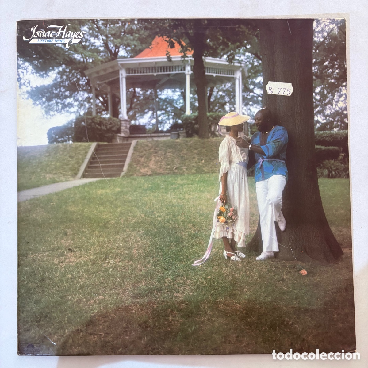 Discos de vinilo: lp Isaac Hayes &lrm;&ndash; Lifetime Thing edicion espa&ntilde;ola de 1981