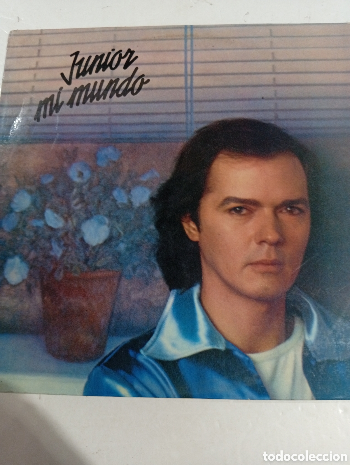 Discos de vinilo: Junior Mi mundo &Aacute;lbum