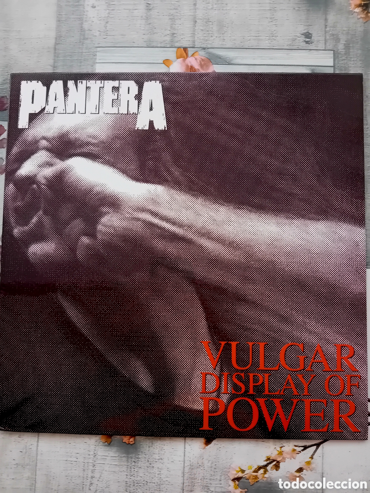 Discos de vinilo: PANTERA. VULGAR DISPLAY OF POWER