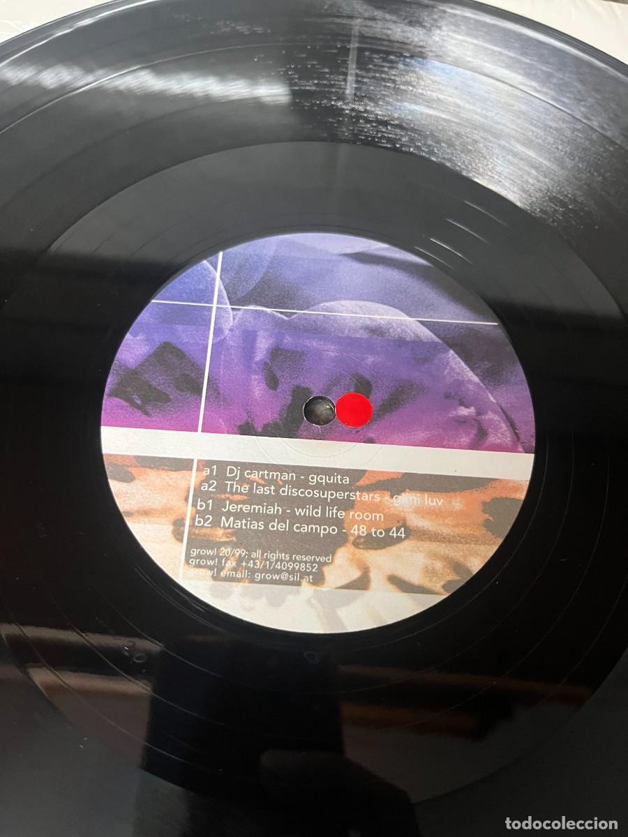 Discos de vinilo: Grow For It 2 Maxi . - Foto 3