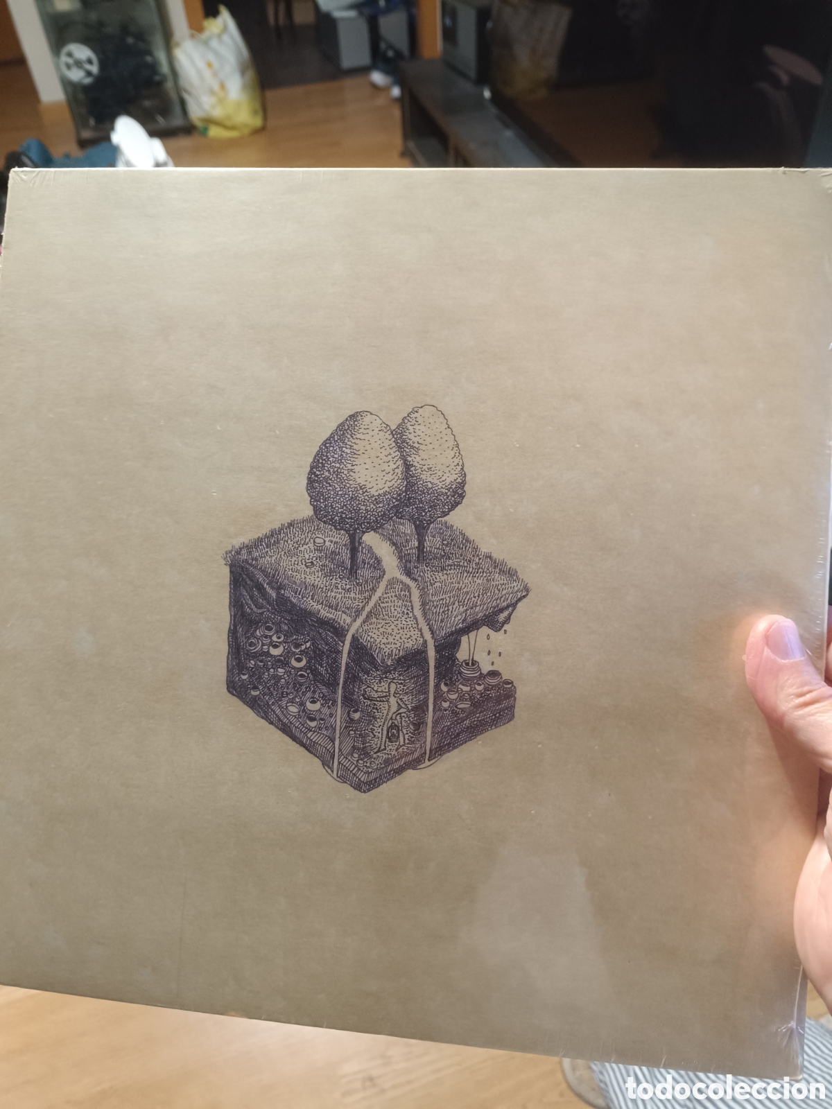 Discos de vinilo: Kiran Leonard &lrm;&ndash; Western Culture (Precintado)