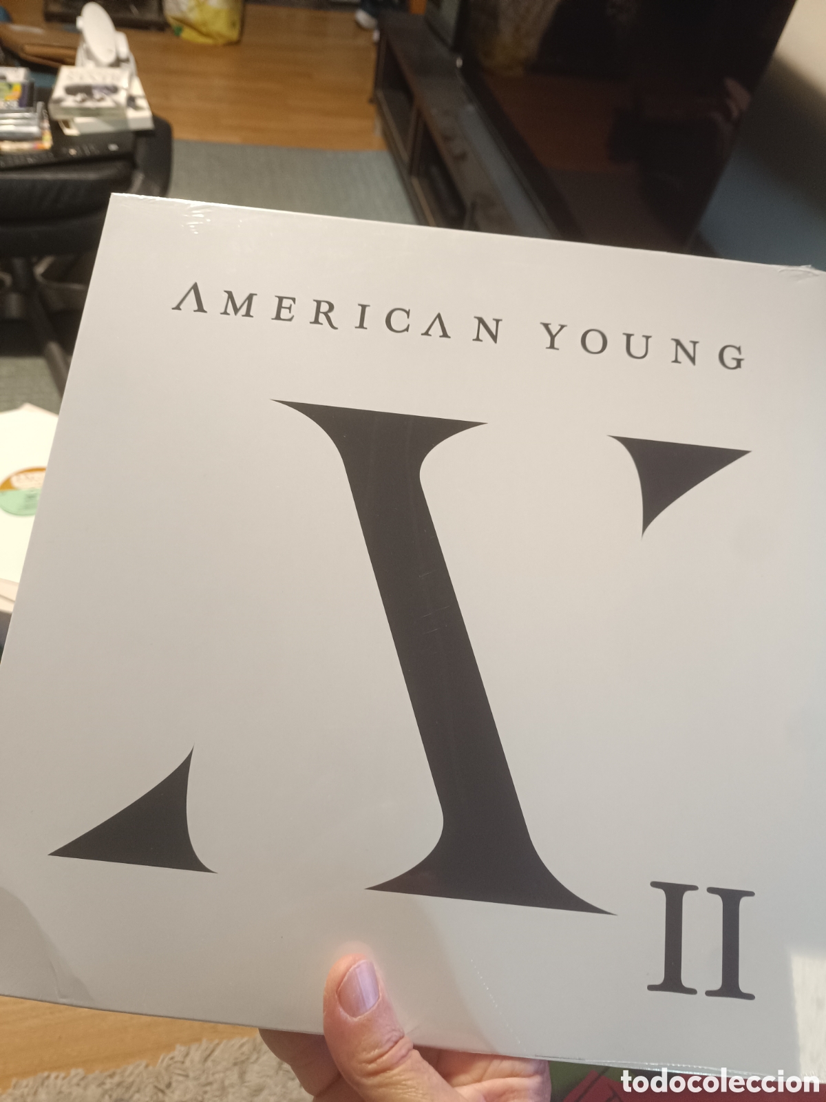 Discos de vinilo: American Young &lrm;&ndash; AYII (Precintado)