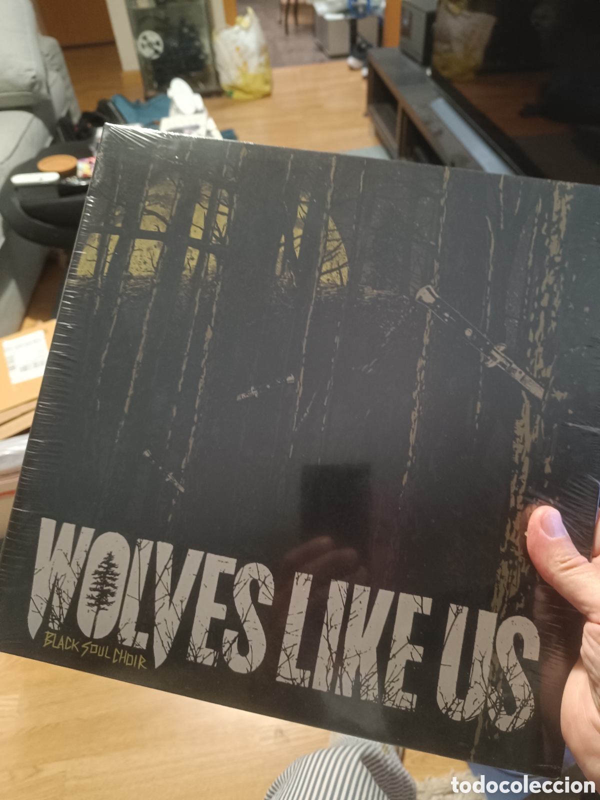 Discos de vinilo: Wolves Like Us &lrm;&ndash; Black Soul Choir (Precintado)