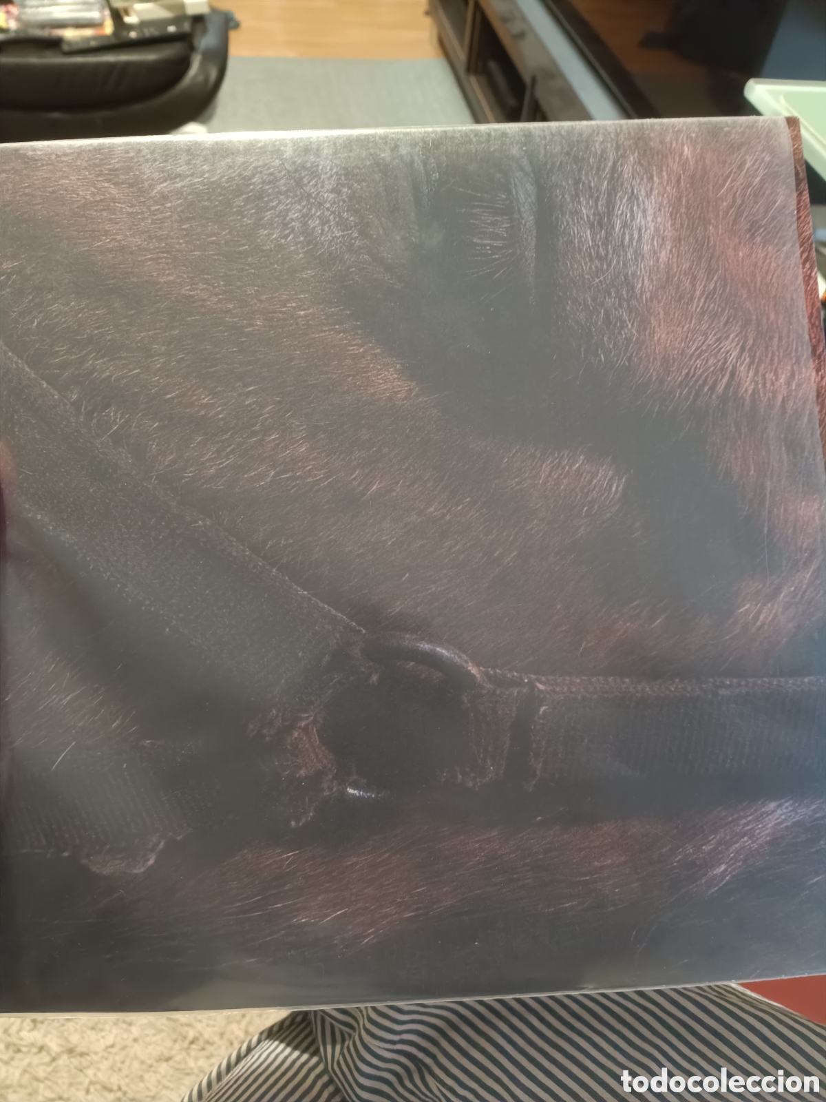 Discos de vinilo: Darto &lrm;&ndash; Fundamental Slime (Nuevo) - Foto 1