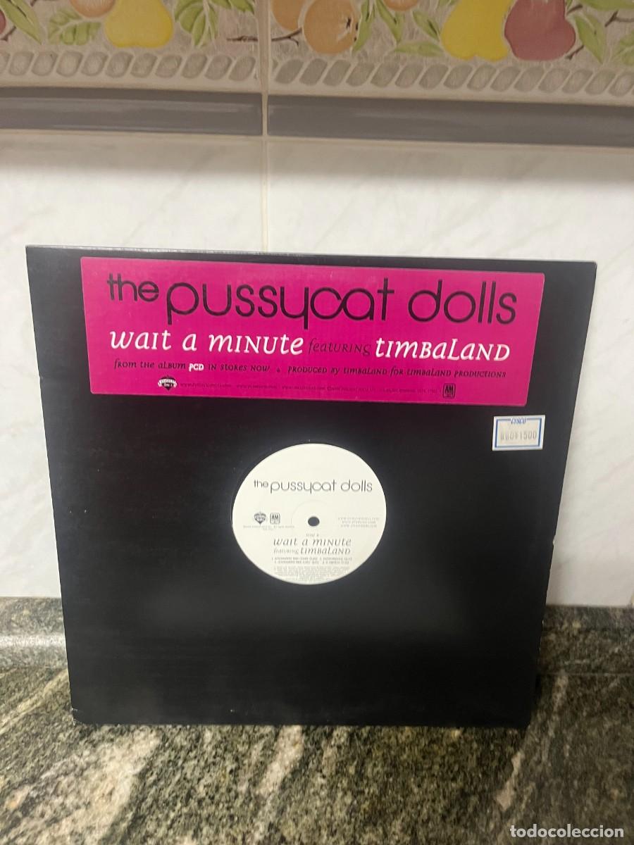 Discos de vinilo: The Pussycat Dolls Wait A Minute