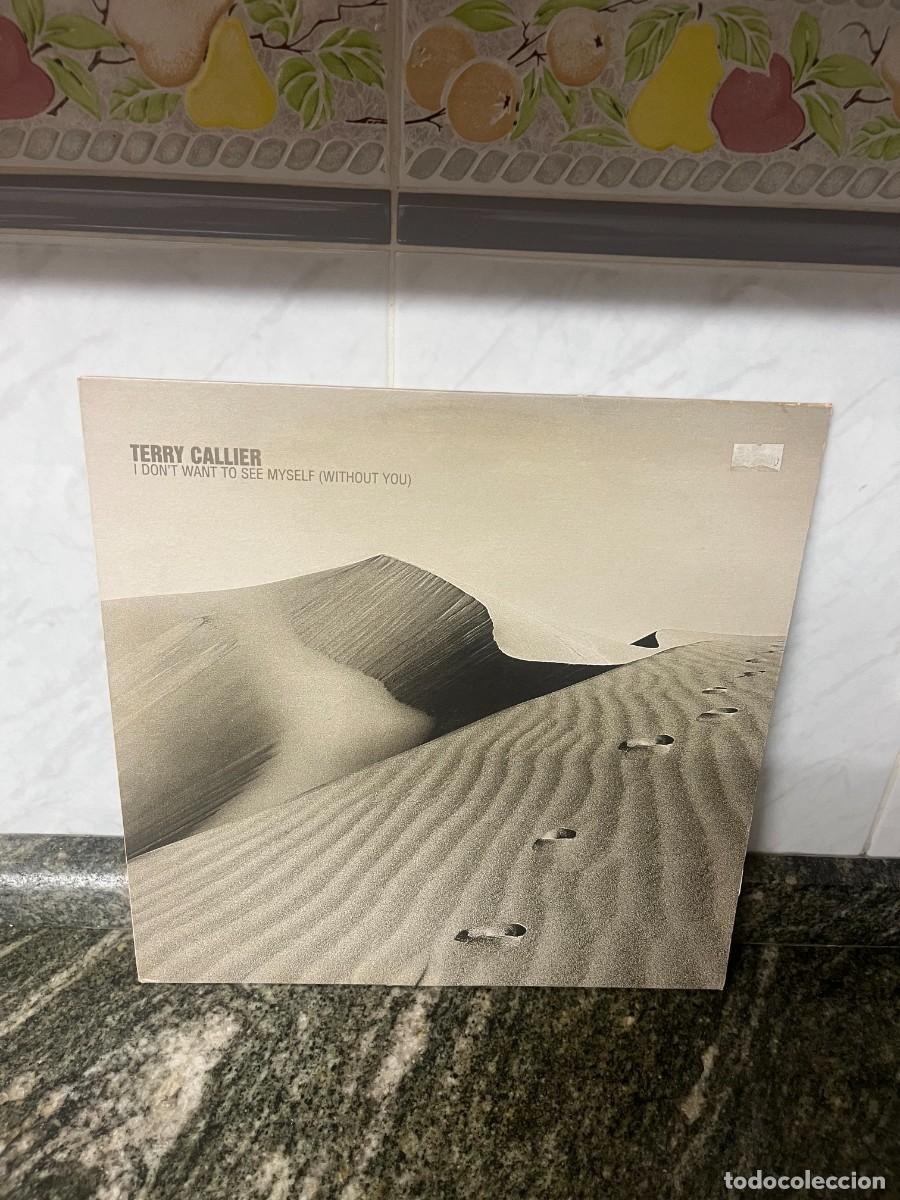 Discos de vinilo: Terry Callier I Don't Want To See Myself (Without You)