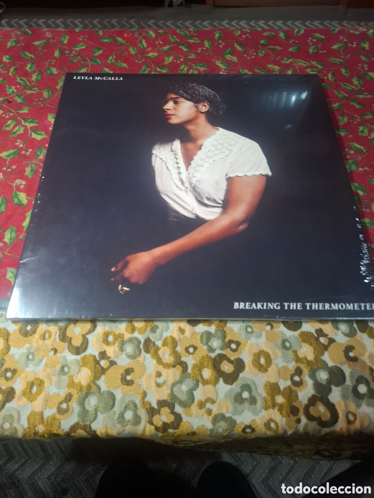 Discos de vinilo: Leyla McCalla Breaking The Thermometer - Foto 1