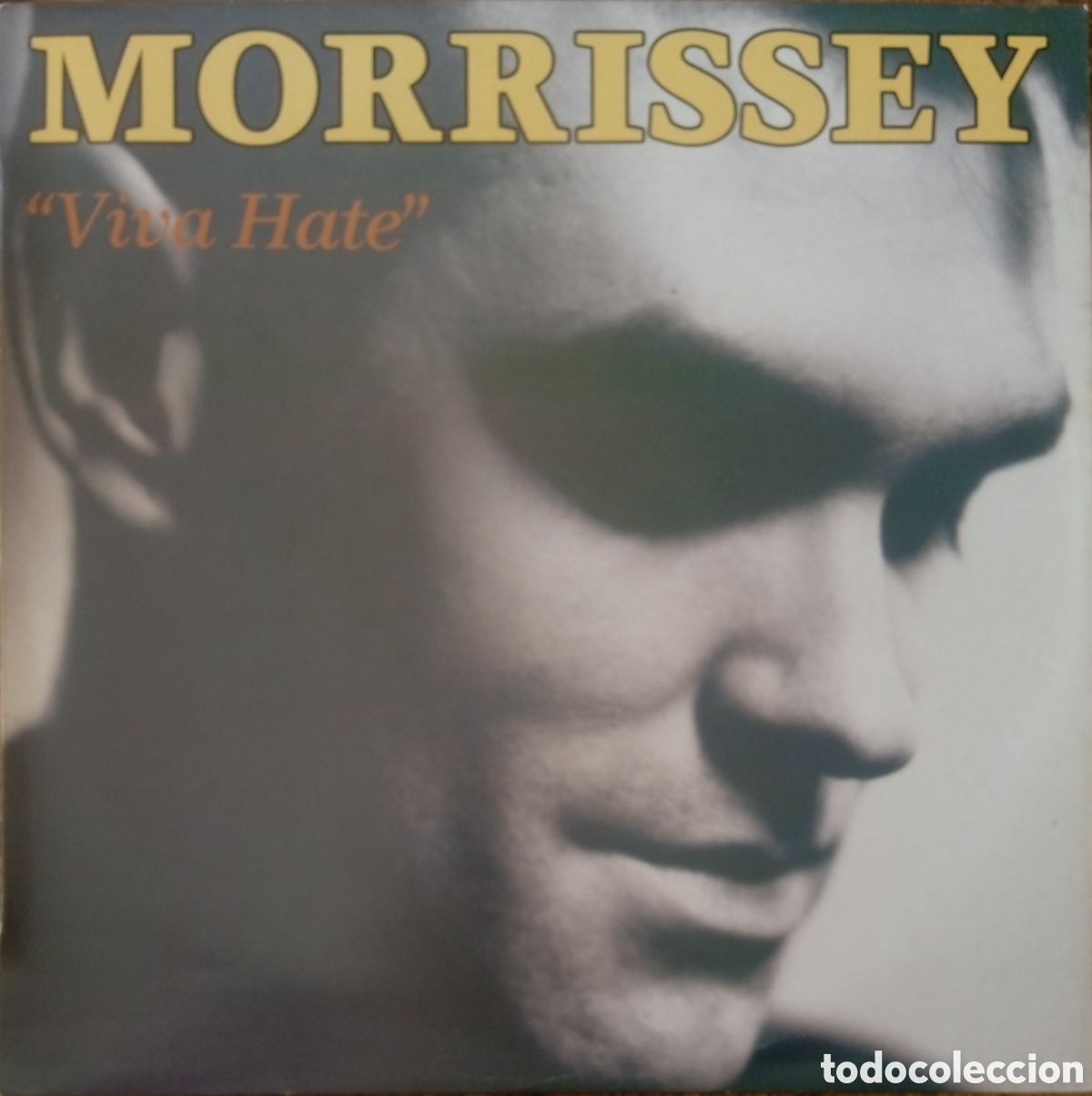Discos de vinilo: Disco de vinilo Morrissey - Foto 1