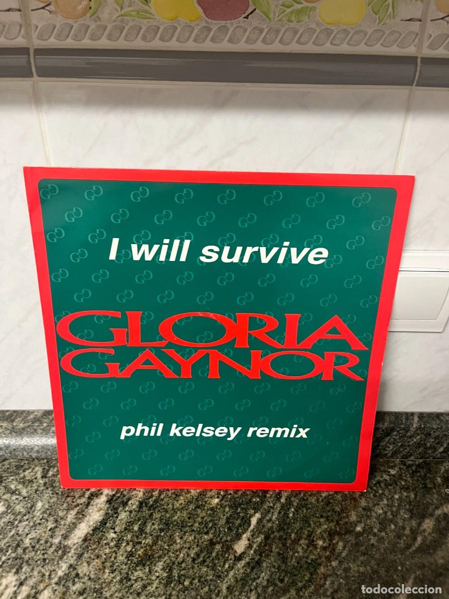 Discos de vinilo: Gloria Gaynor I Will Survive (Phil Kelsey Remix)