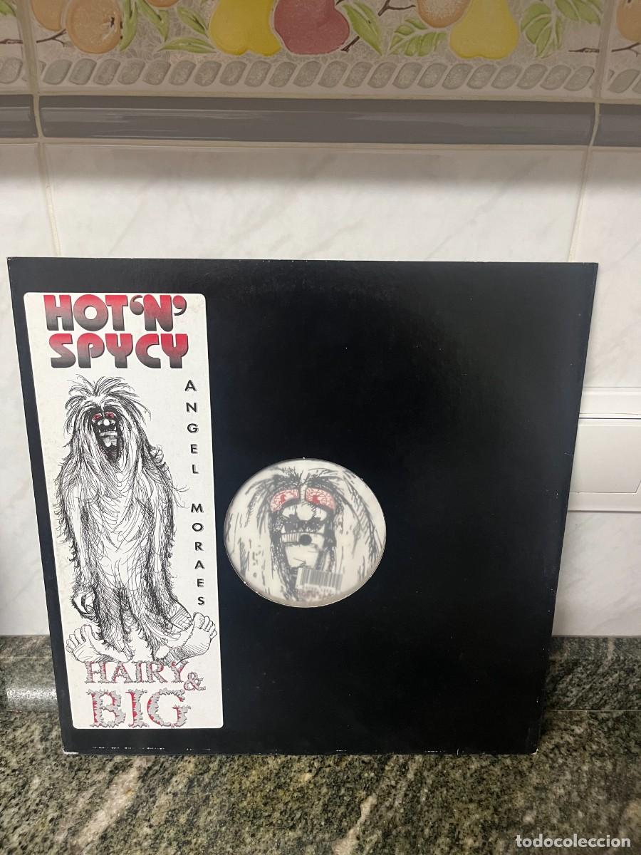 Discos de vinilo: Angel Moraes Hairy & Big - Foto 1