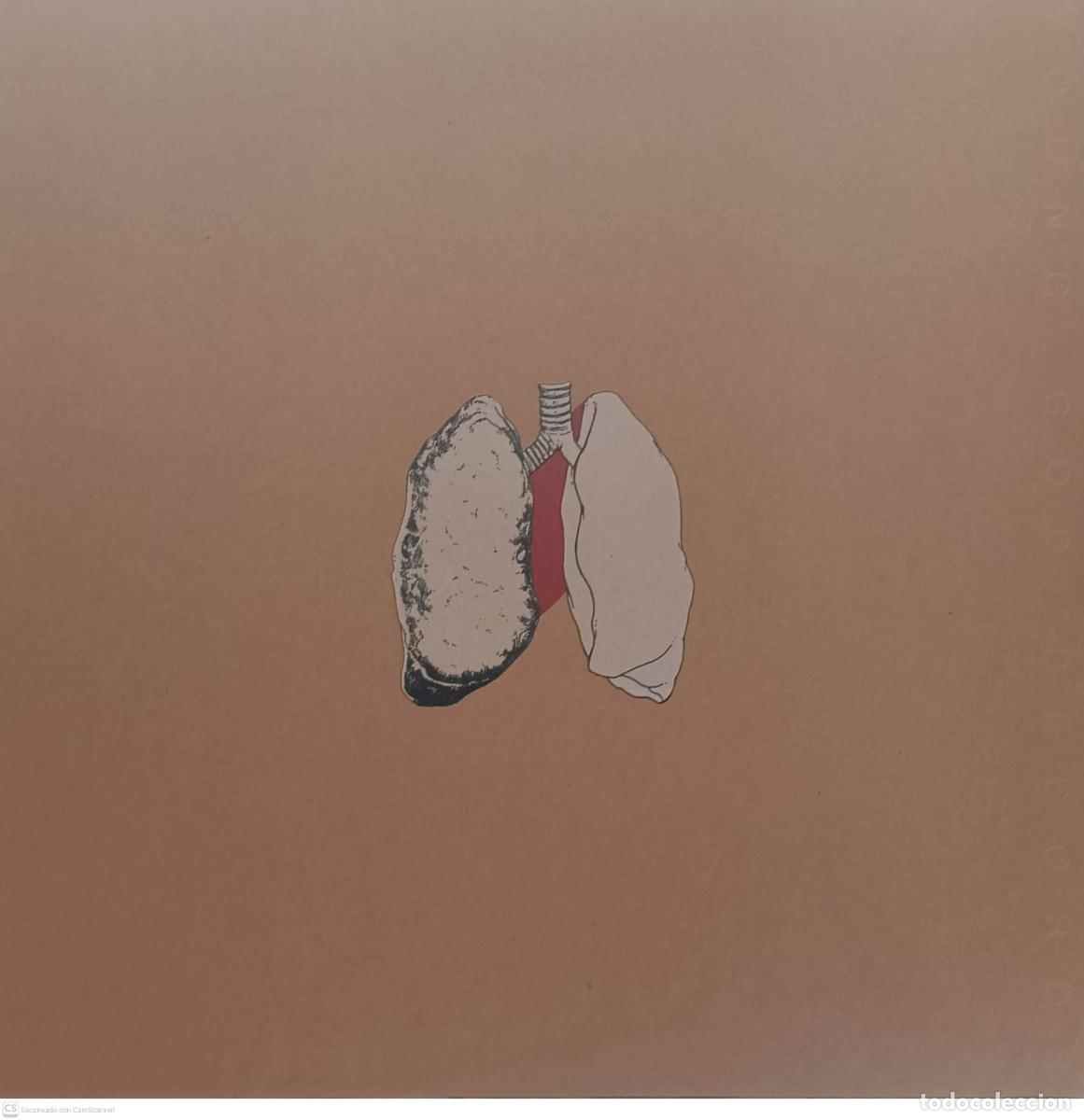 Discos de vinilo: Swans &ndash; The Beggar Vinilo doble - Foto 3