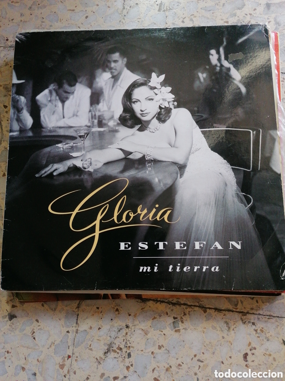 Discos de vinilo: LP GLORIA ESTEFAN MI TIERRA 1993 ESPA&Ntilde;A INSERT