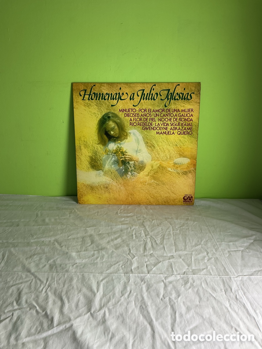 Discos de vinilo: HOMENAJE A JULIO IGLESIAS &ndash; 12 GRANDES &Eacute;XITOS &ndash; LP GRAMUSIC