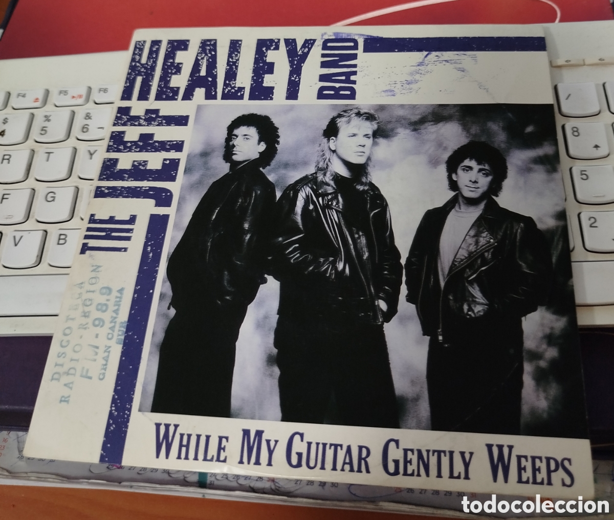 Discos de vinilo: The Jeff Healey band - while my guitar gently weeps