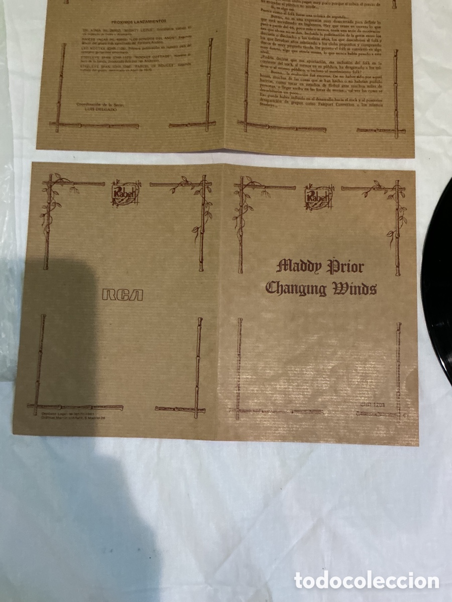 Discos de vinilo: MADDY PRIOR &ndash; CHANGING WINDS &ndash; LP CHRYSALIS FOLK ROCK 1978 - Foto 10