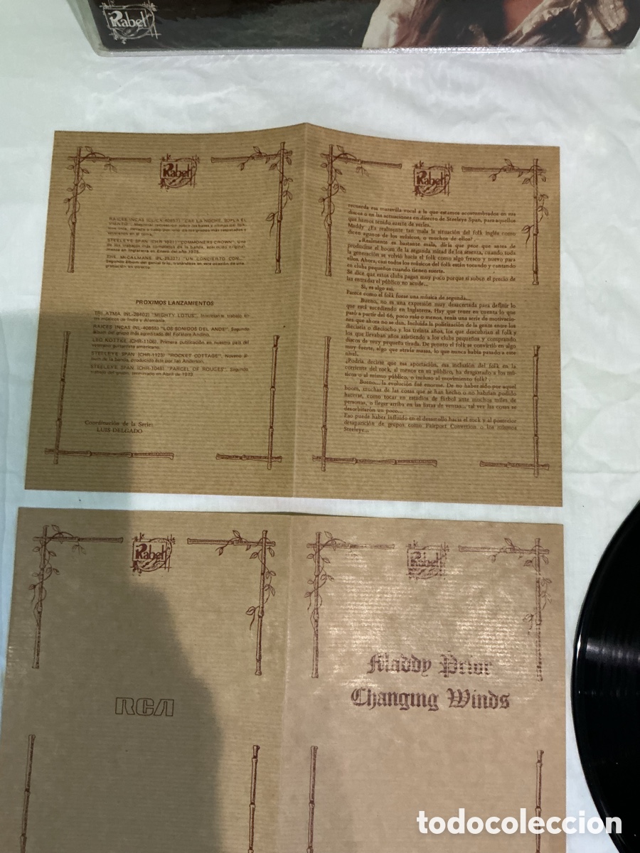 Discos de vinilo: MADDY PRIOR &ndash; CHANGING WINDS &ndash; LP CHRYSALIS FOLK ROCK 1978 - Foto 11
