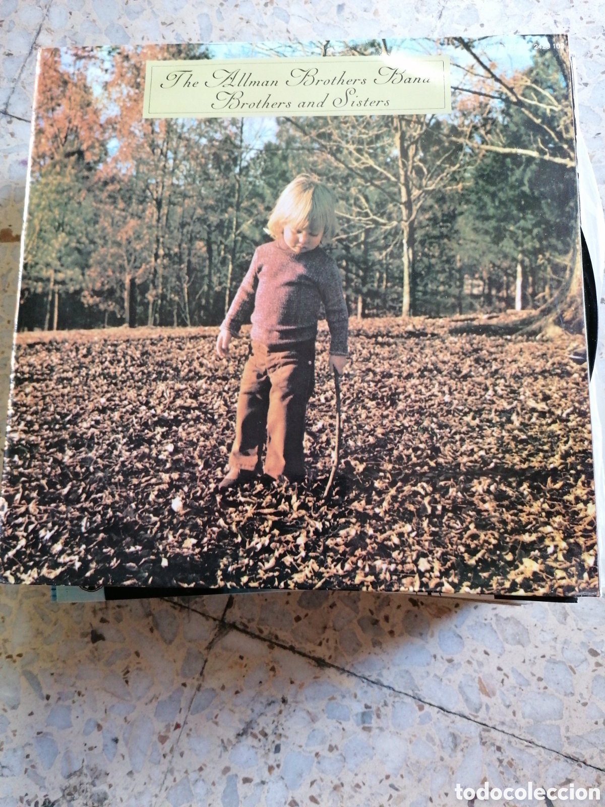 Discos de vinilo: LP THE ALLMAN BROTHERS BAND BROTHERS AND SISTERS 1981 ESPA&Ntilde;A