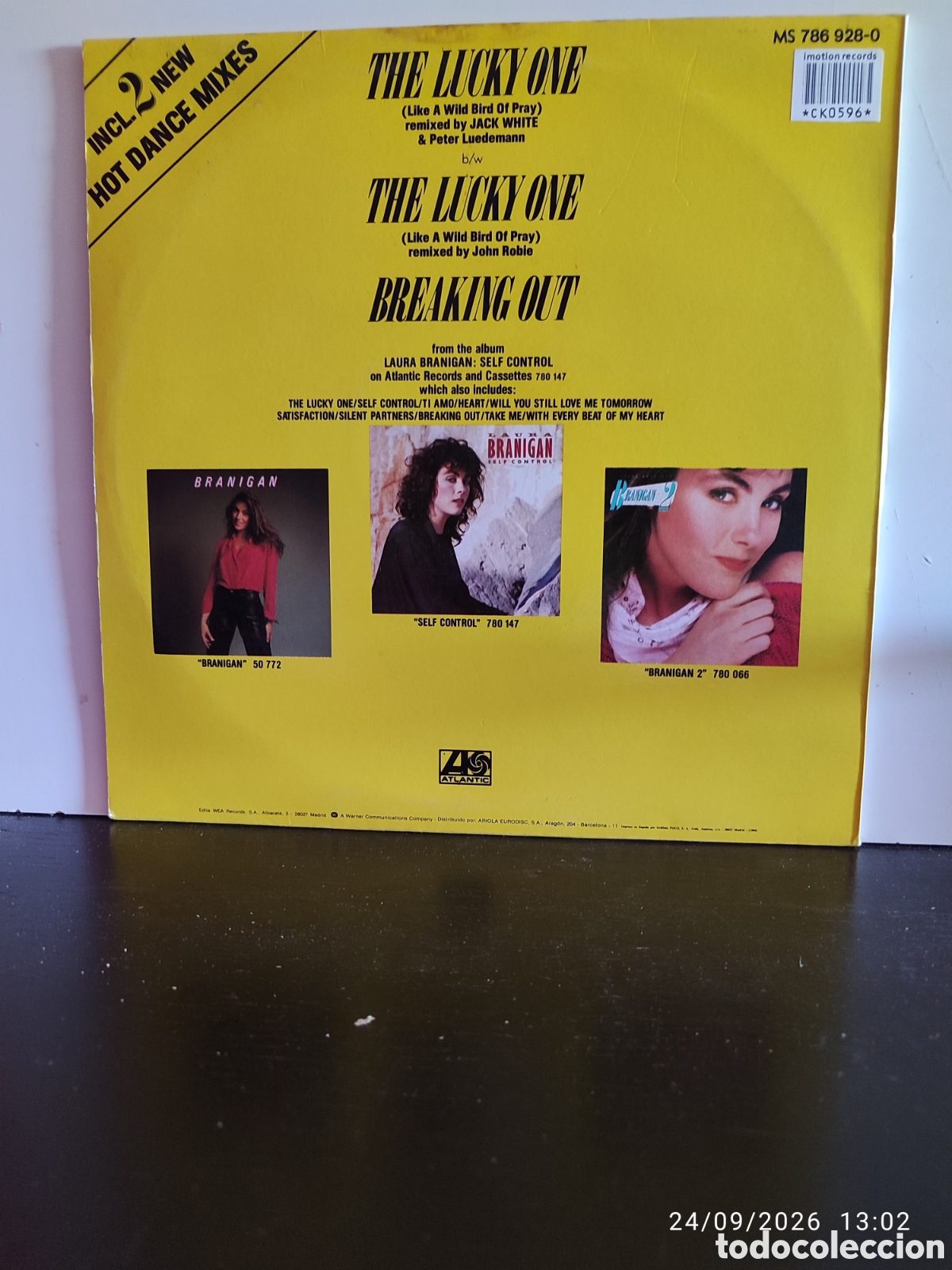 Discos de vinilo: Laura Branigan &ndash; The Lucky One (Like A Wild Bird Of Prey) - Foto 2