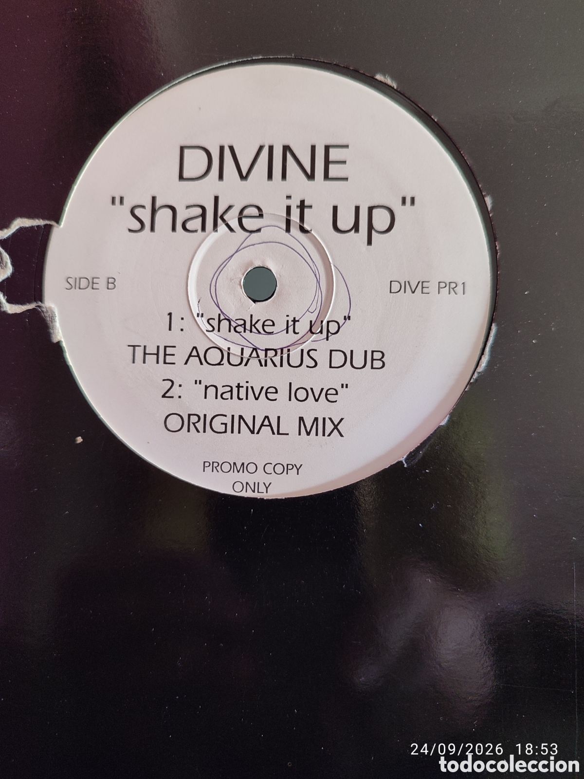 Discos de vinilo: Divine &ndash; Shake It Up (Aquarius Mixes) - Foto 2