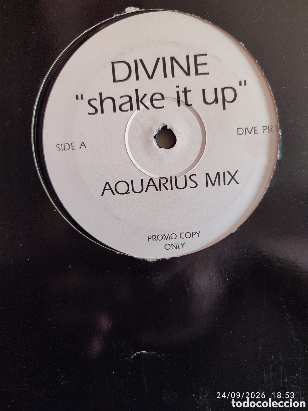 Discos de vinilo: Divine &ndash; Shake It Up (Aquarius Mixes)