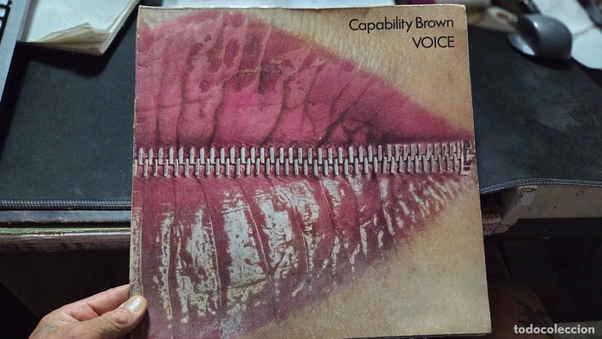 Discos de vinilo: disco de vinilo LP capability brown