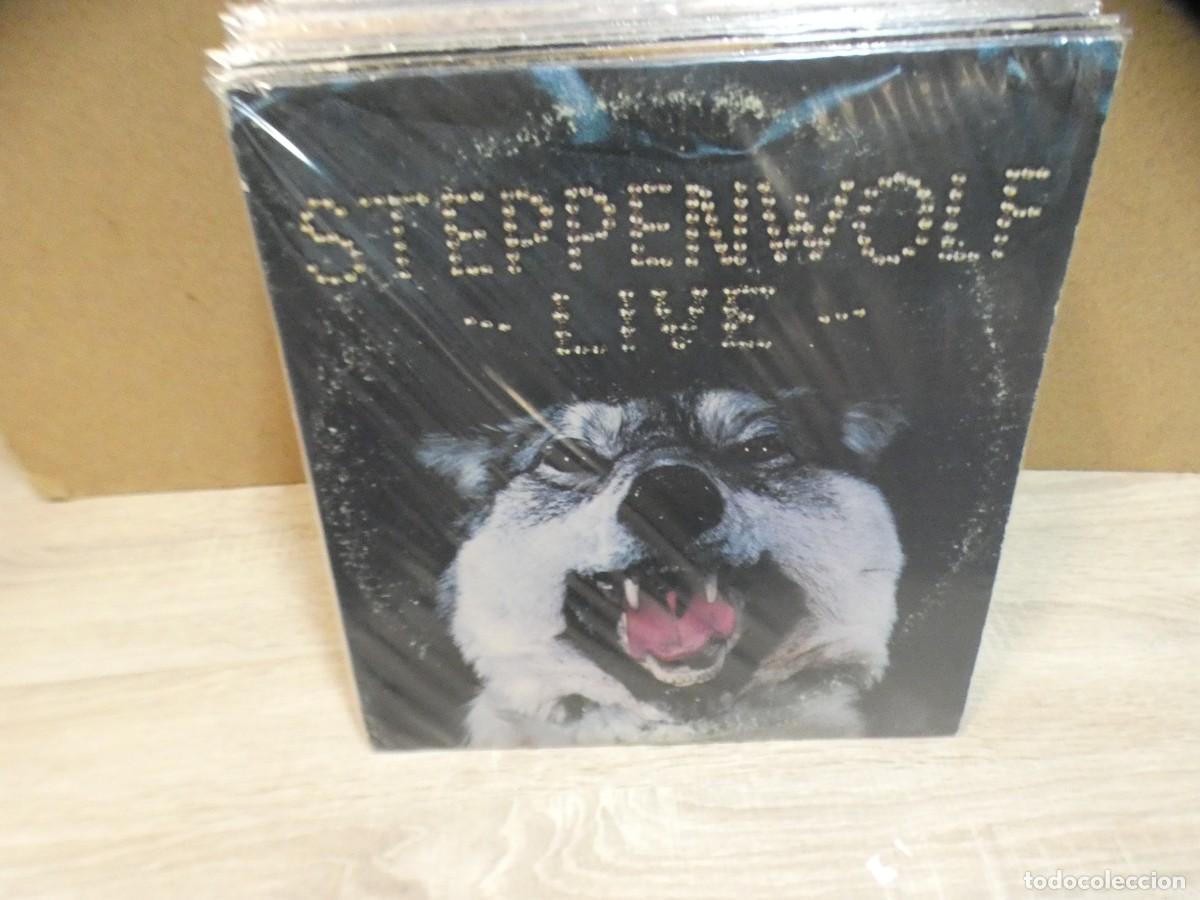 Discos de vinilo: ARKANSAS1980 LOTT779 VINILO LEVE USO AUN CORRECTO - STEPPENWOLF