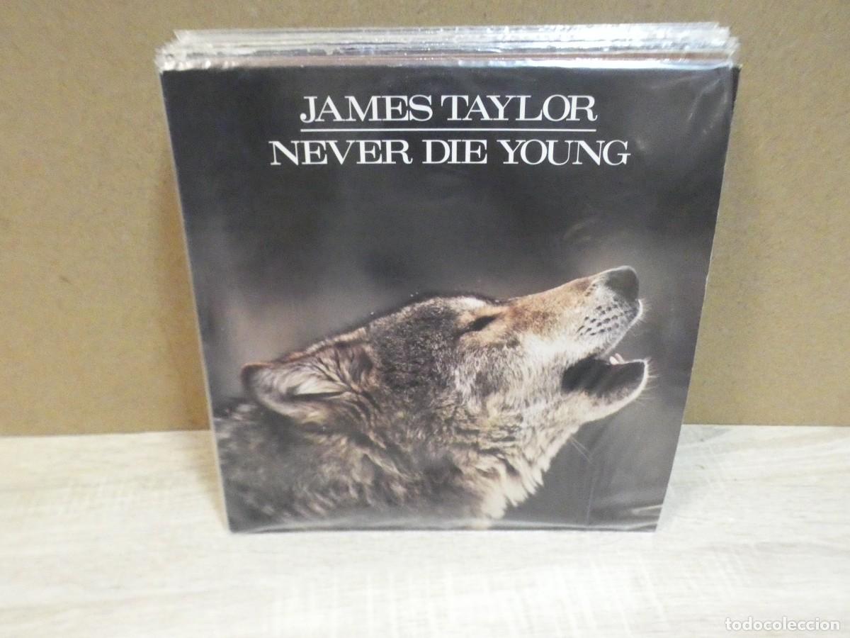 Discos de vinilo: ARKANSAS1980 LOTT779 VINILO ESTADO CORRECTISIMO - JAMES TAYLOR