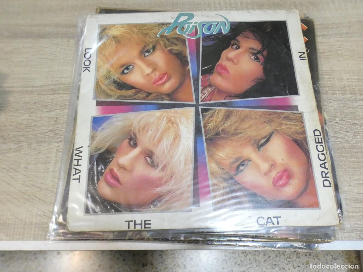 Discos de vinilo: ARKANSAS1980 CAJJ788 VINILO DESTROZADO A TU RIESGO - THE CAT POSION