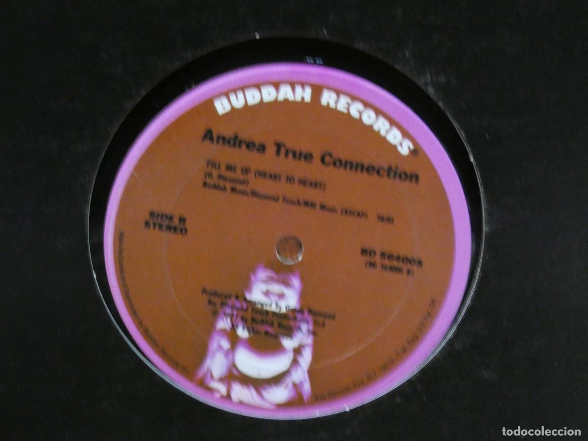 Discos de vinilo: ARKANSAS1980 CAJJ767 VINILO LEVE USO AUN CORRECTO ANDREA TRUE CONNECTION