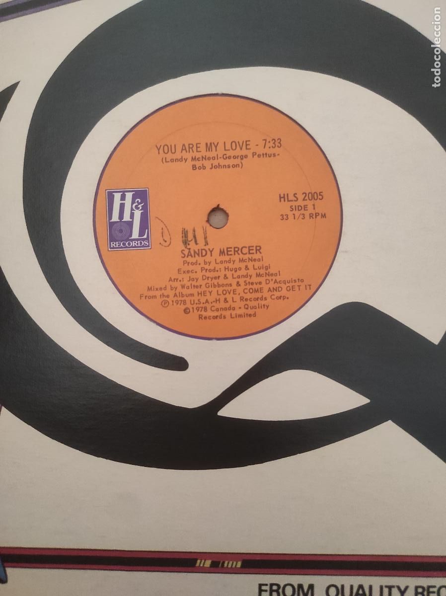 Discos de vinilo: Sandy Mercer &ndash; Play With Me / You Are My Love-MAXI-FUNK SOUL DISCO-USA-