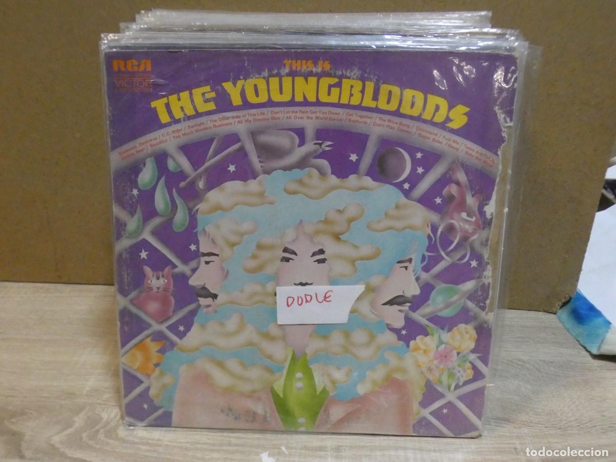 Discos de vinilo: ARKANSAS1980 LOTT777 VINILO BUEN ESTADO THE YOUNGBLOODS DOBLE LP
