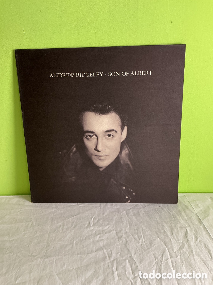 Discos de vinilo: Andrew Ridgeley &ndash; Son of Albert | LP de vinilo Epic, 1990, con encarte &middot; Ex Wham!