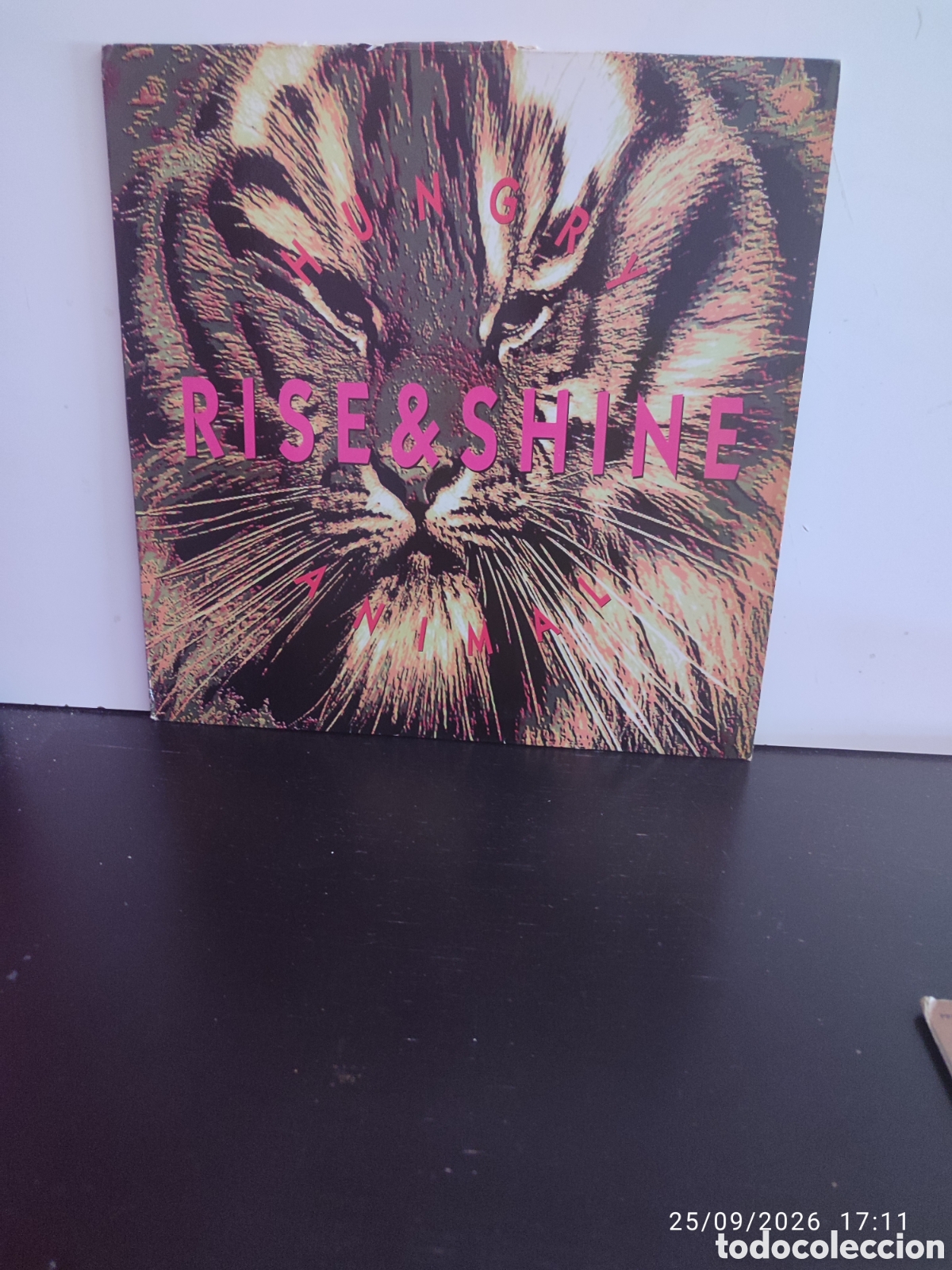 Discos de vinilo: Disco de vinilo CK0764
