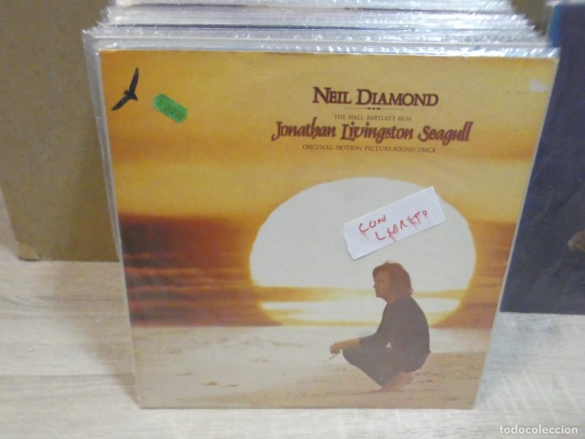 Dischi in vinile: ARKANSAS1980 PACC786 LP ESTADO CORRECT&Iacute;SIMO NEIL DIAMOND CON LIBRETO