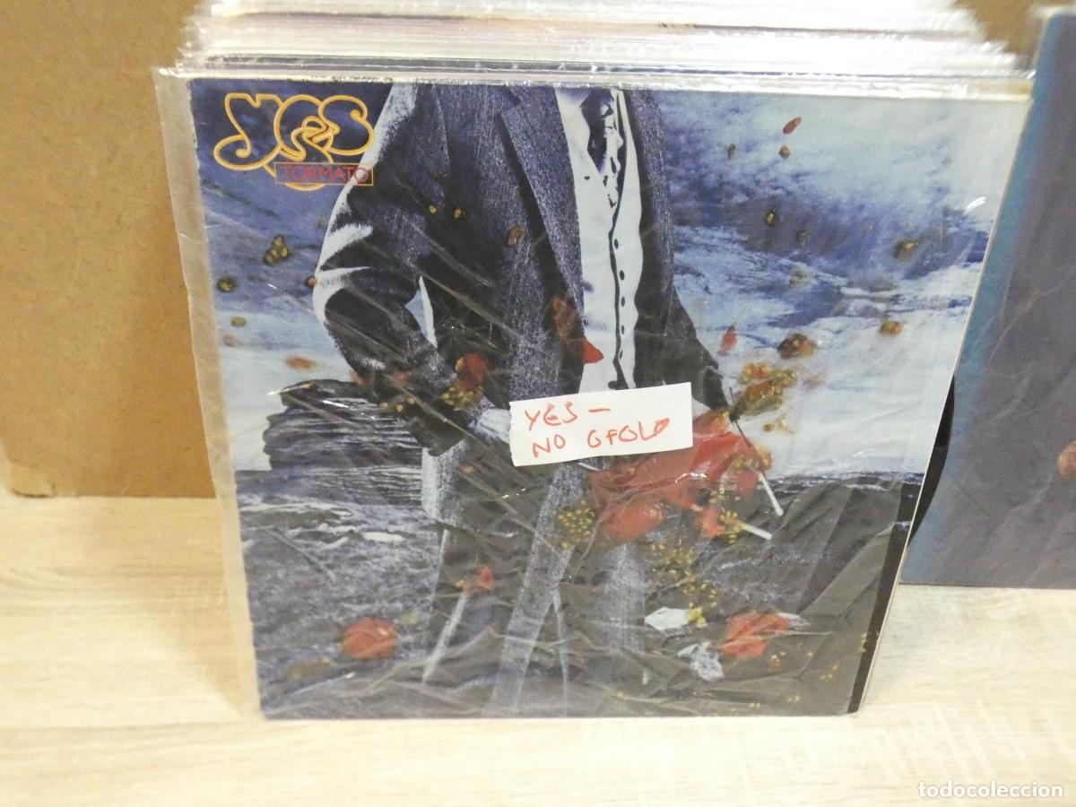 Dischi in vinile: ARKANSAS1980 PACC786 LP ESTADO CORRECT&Iacute;SIMO YES NO GFOLD