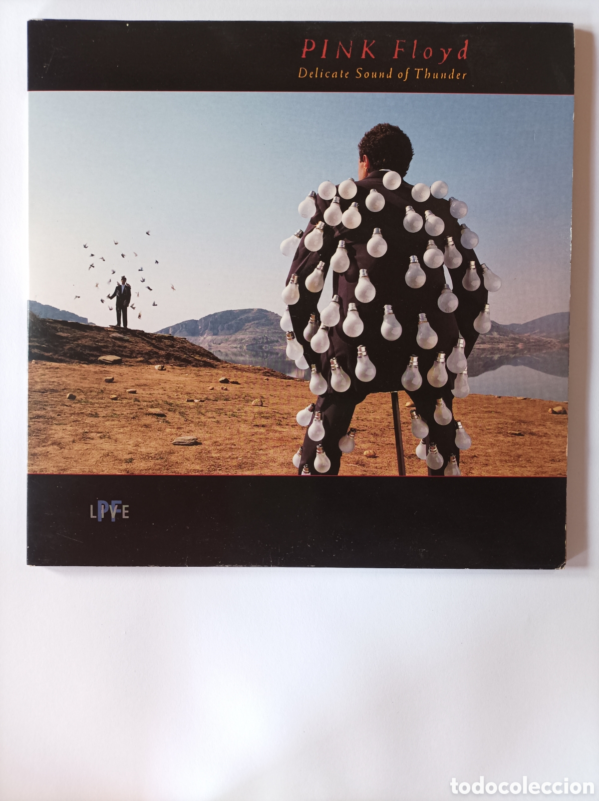 Discos de vinilo: PINK FLOYD. DELICATED SOUND OF THUNDER. EMI. EXCELENTE ESTADO. DISCO VINILO DOBLE.