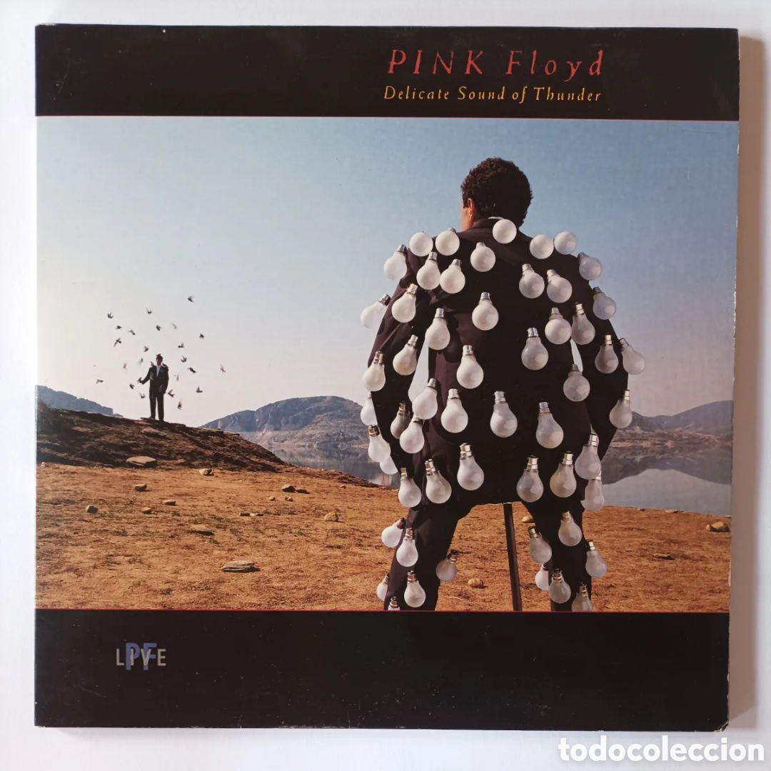 Discos de vinilo: PINK FLOYD. DELICATED SOUND OF THUNDER. EMI. EXCELENTE ESTADO. DISCO VINILO DOBLE.