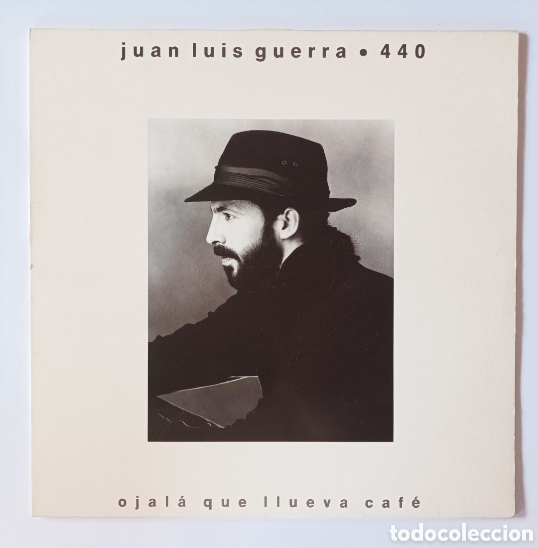 Discos de vinilo: JUAN LUIS GUERRA. OJALA QUE LLUEVA CAFE. KAREN. EXCELENTE ESTADO. DISCO VINILO LP.