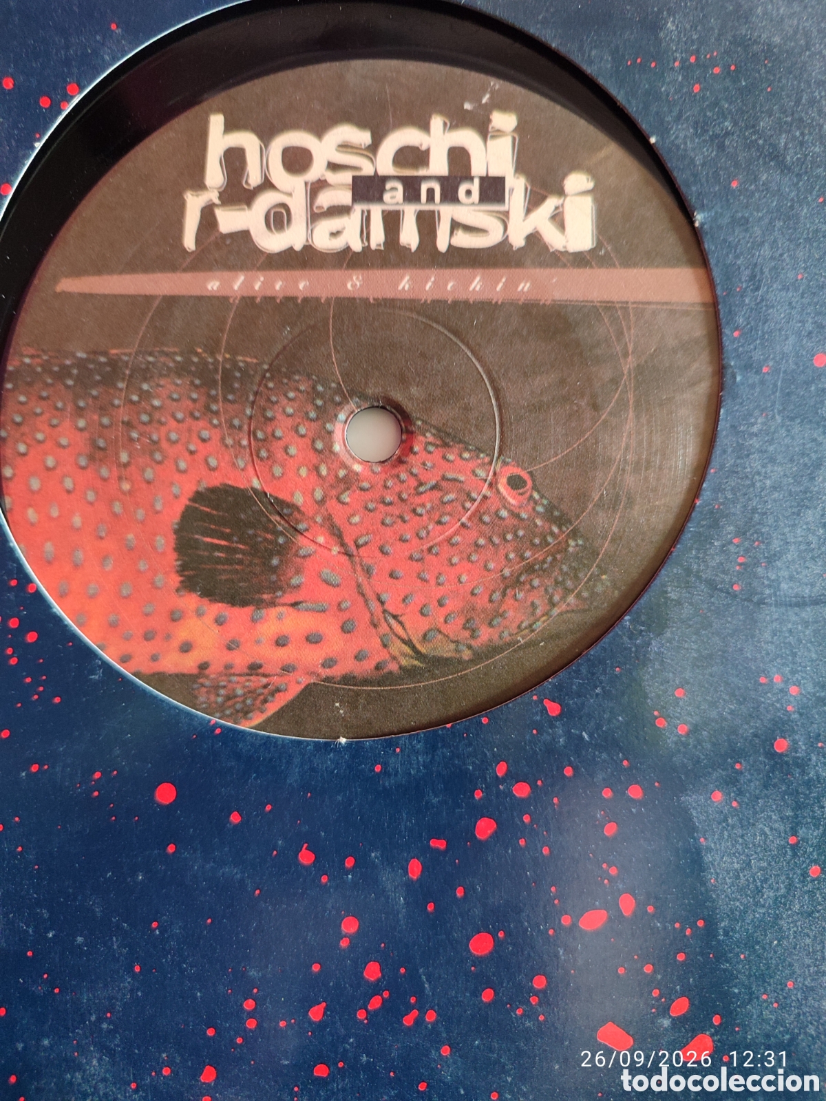 Discos de vinilo: Disco de vinilo CK0880 - Foto 2