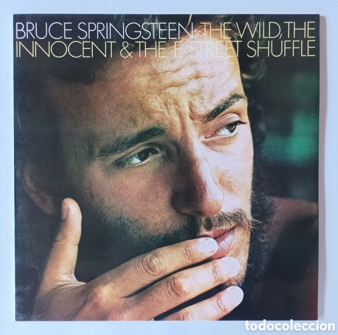Discos de vinilo: BRUCE SPRINGSTEEN. THE WILD... DISCO VINILO LP. EXCELENTE ESTADO.