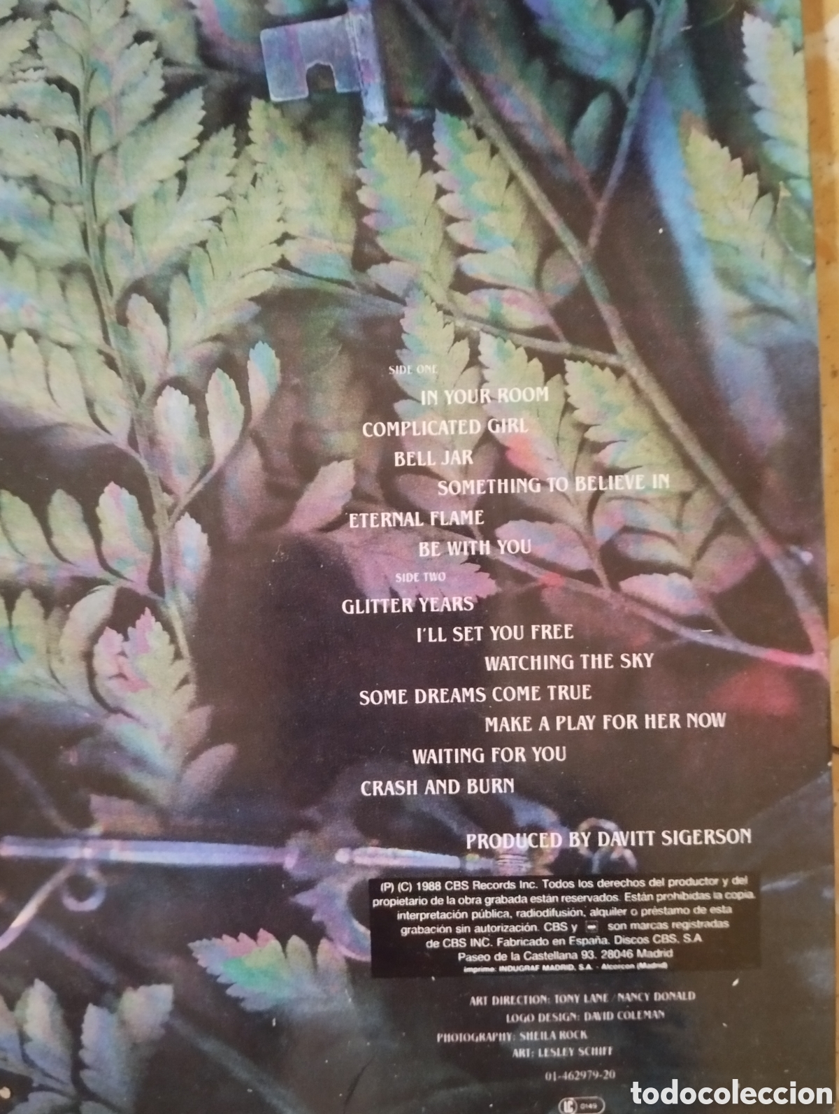 Discos de vinilo: Bangles - Everything -- LP - Foto 4