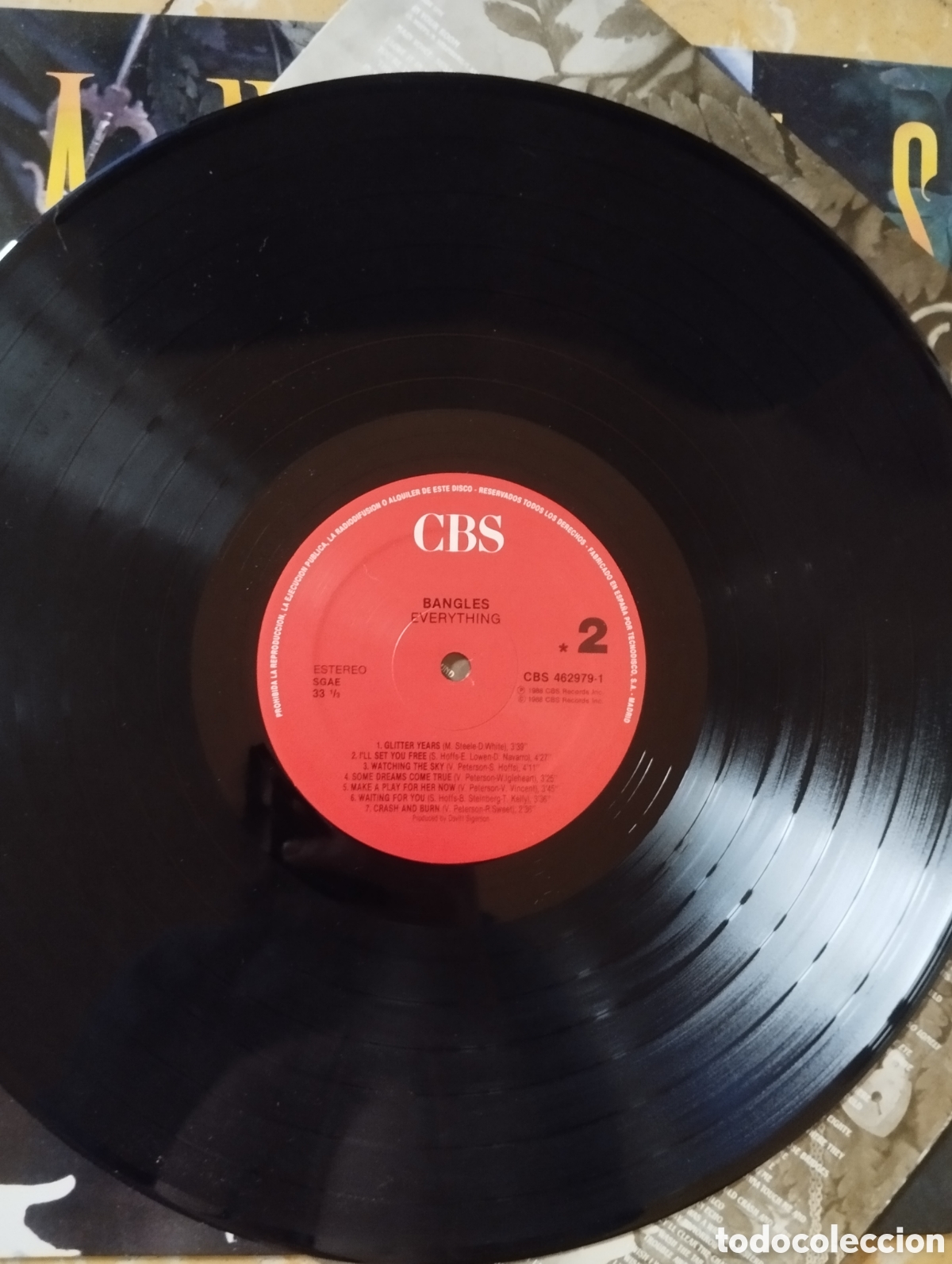 Discos de vinilo: Bangles - Everything -- LP - Foto 9