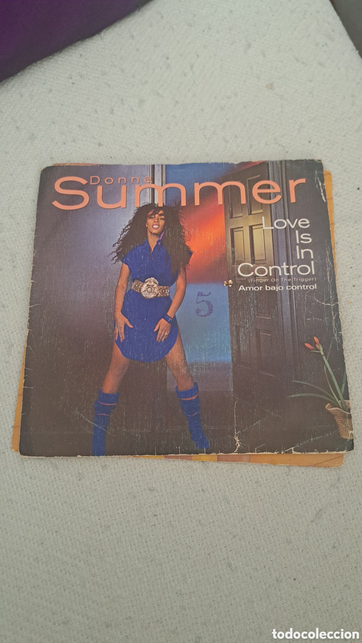 Discos de vinilo: Donna Sumner love is in Control